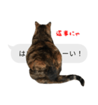 猫野家すたんぷ【実はやさしい編】（個別スタンプ：2）