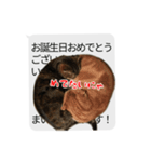 猫野家すたんぷ【実はやさしい編】（個別スタンプ：4）