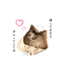 だいふくスタンプ⑤（個別スタンプ：6）