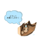 だいふくスタンプ⑤（個別スタンプ：15）