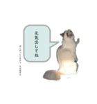 だいふくスタンプ⑤（個別スタンプ：20）