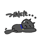 ネコ ＋α たちくるスタンプ（個別スタンプ：17）