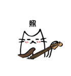 [ST]ギタリストのためのギター猫スタンプ2（個別スタンプ：39）