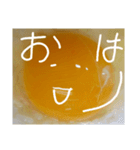 EGGな毎日( ´∀`)（個別スタンプ：1）