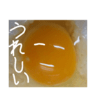 EGGな毎日( ´∀`)（個別スタンプ：5）