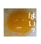 EGGな毎日( ´∀`)（個別スタンプ：9）