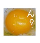 EGGな毎日( ´∀`)（個別スタンプ：12）