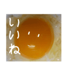 EGGな毎日( ´∀`)（個別スタンプ：16）