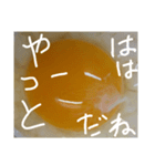 EGGな毎日( ´∀`)（個別スタンプ：17）