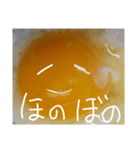 EGGな毎日( ´∀`)（個別スタンプ：21）