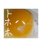 EGGな毎日( ´∀`)（個別スタンプ：36）