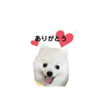 PUAちゃんすたんぷ（個別スタンプ：2）