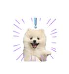 PUAちゃんすたんぷ（個別スタンプ：3）