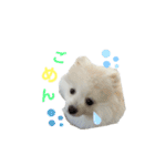 PUAちゃんすたんぷ（個別スタンプ：8）