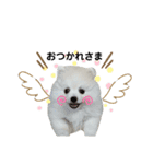 PUAちゃんすたんぷ（個別スタンプ：9）