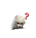 PUAちゃんすたんぷ（個別スタンプ：12）