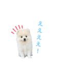 PUAちゃんすたんぷ（個別スタンプ：14）