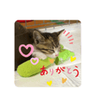 りんちゃんなう！（個別スタンプ：7）