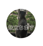 きぬとひかり（個別スタンプ：4）