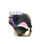 ちくわ作黒プースタンプ（個別スタンプ：3）