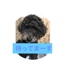 ちくわ作黒プースタンプ（個別スタンプ：6）