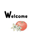 簡単英語表現（個別スタンプ：2）