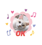 Ragdoll＊LUCAのスタンプ（個別スタンプ：4）
