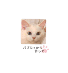 Ragdoll＊LUCAのスタンプ（個別スタンプ：10）