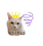 Ragdoll＊LUCAのスタンプ（個別スタンプ：14）