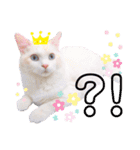 Ragdoll＊LUCAのスタンプ（個別スタンプ：22）