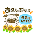 ♡パグちゃんの夏♡（個別スタンプ：27）