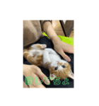 山本の専用スタンプ（個別スタンプ：5）
