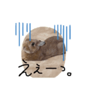 うさぎのひなちゃん。（個別スタンプ：12）
