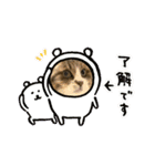 としまる2（個別スタンプ：4）
