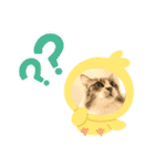 としまる2（個別スタンプ：7）