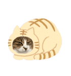 としまる2（個別スタンプ：24）