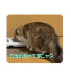 としまる2（個別スタンプ：25）