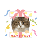 としまる2（個別スタンプ：30）