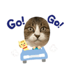 としまる2（個別スタンプ：38）