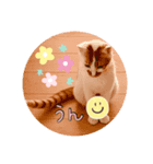 あばれんぼうにゃんこ（個別スタンプ：4）