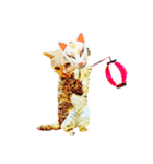 Happy Rock cat 12（個別スタンプ：7）