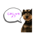 つくちゃんいいこ3（個別スタンプ：2）