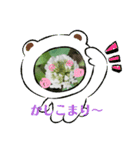 色々なお花や植物（個別スタンプ：2）