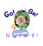 色々なお花や植物（個別スタンプ：7）