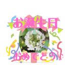 色々なお花や植物（個別スタンプ：9）
