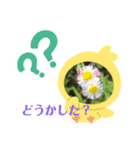 色々なお花や植物（個別スタンプ：13）