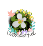 色々なお花や植物（個別スタンプ：15）