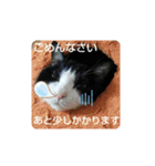 ロミオ＆（個別スタンプ：2）