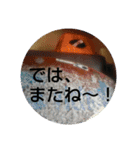 ロミオ＆（個別スタンプ：11）