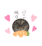 なかせみるちゃん②（個別スタンプ：7）